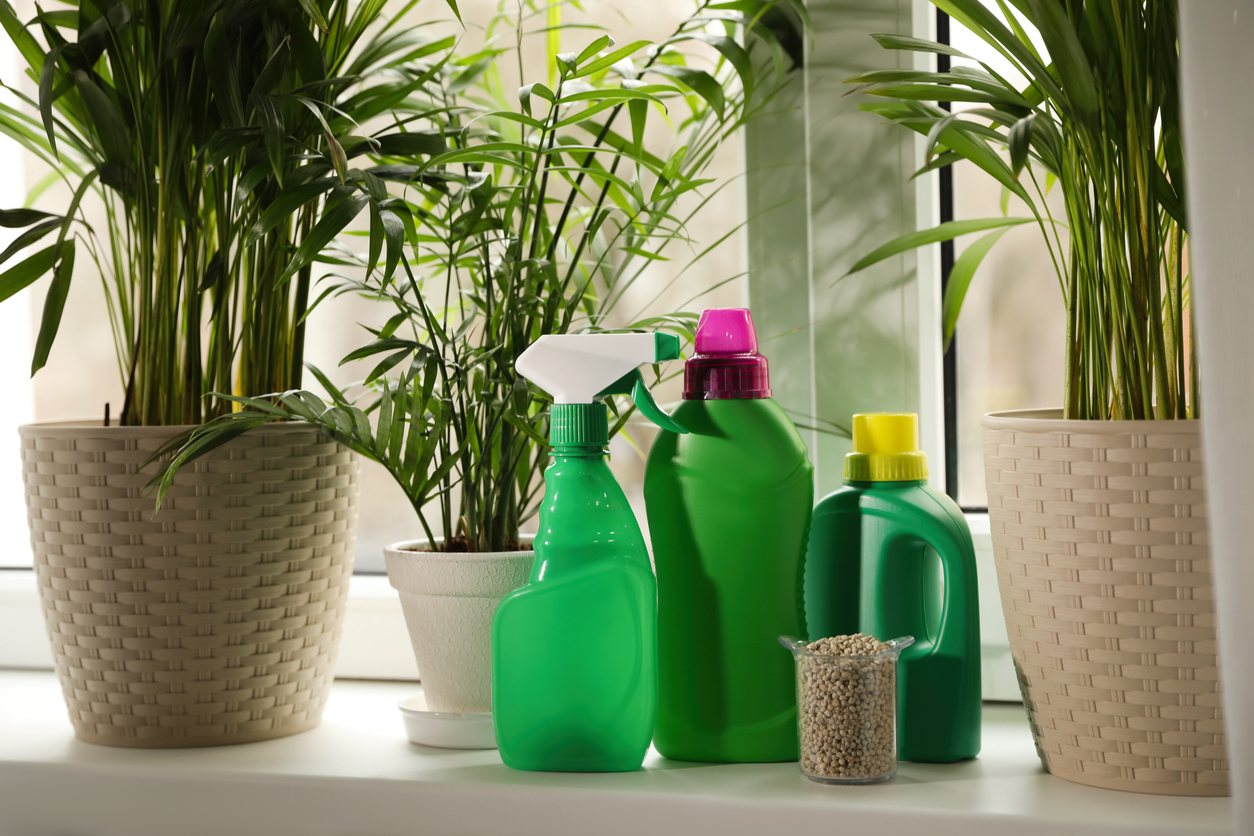eco-friendly home pest control chemicals